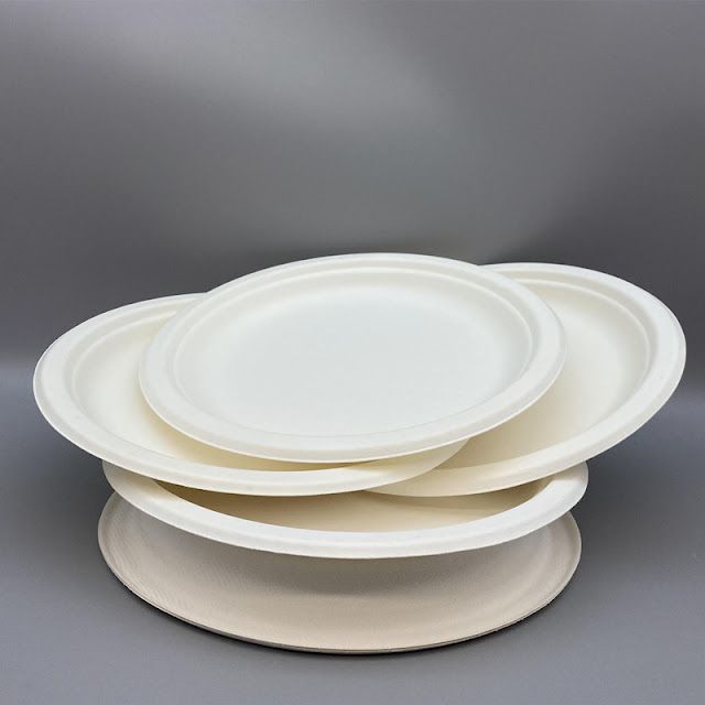 Biodegrabable Disposable